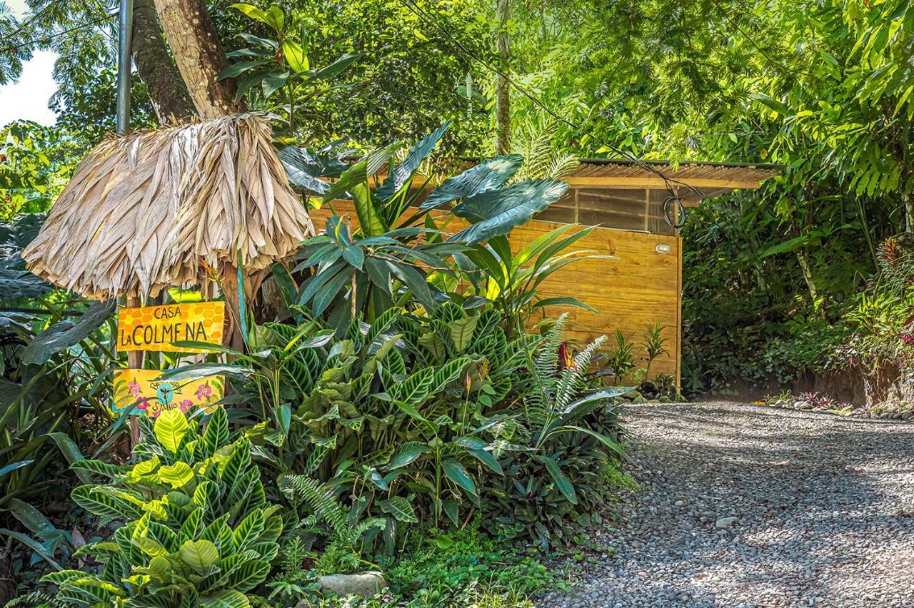 Bee Happy Studio Cahuita Kültér fotó